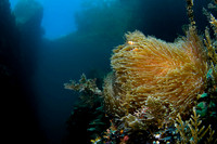 2009 Raja Ampat