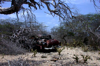 2003 Bonaire
