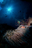 2013 Indonesia